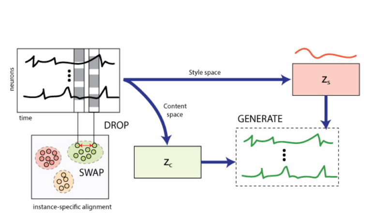 Drop, Swap, and Generate: A Self-Supervised Approach for Generating Neural Activity